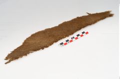 Foto von Textil (NHMW-PRAE-125680)